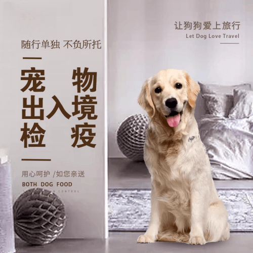 宜宾市宠物托运到哥伦比亚猫狗宠物入境规定和