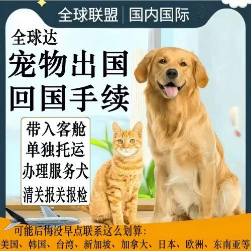 宜宾市宠物托运到柬埔寨宠物入境规定和要求