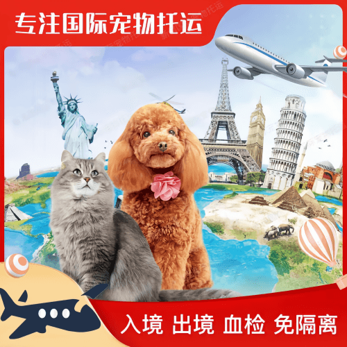 宜宾市宠物托运到美国宠物入境最新规定和要求