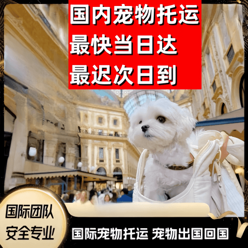 宜宾市到澳大利亚（澳洲）宠物入境规定和要求