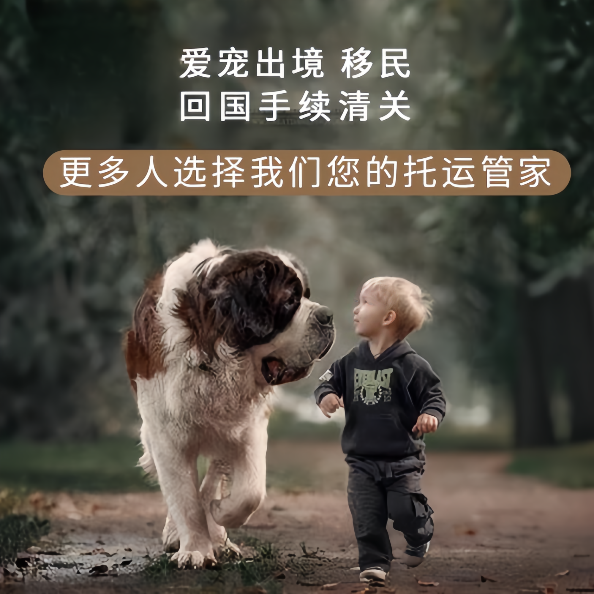 满财宜宾市宠物全球达宠物托运在遵守入境目的地政策的条件