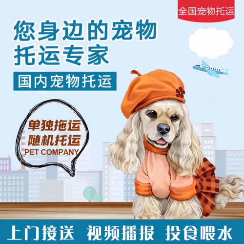 满财宜宾市宠物全球达宠物托运作为专业的宠物运输代理机构